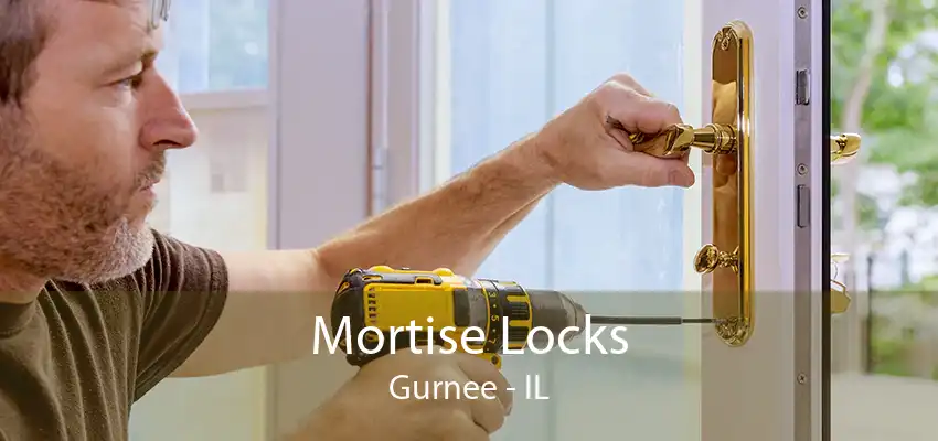 Mortise Locks Gurnee - IL